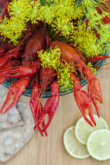 Crayfish and sprigs of dill