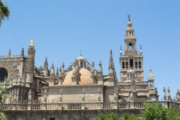 Giralda and Santa Maria de la Sede cathedral