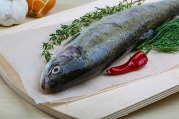 Raw trout