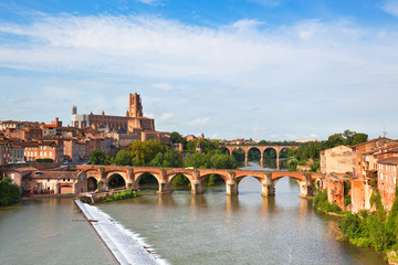 Obraz premium View of the Albi, France