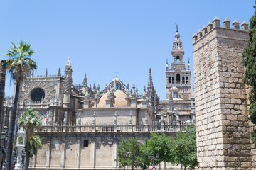 Fototapeta na wymiar Santa Maria de la Sede Cathedral and giralda in Seville
