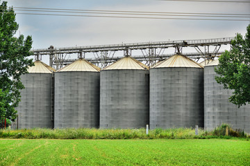 Modern mills for animal foods out of corn