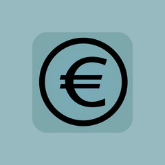 Pale blue euro sign
