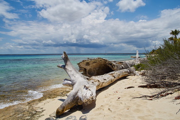 Naturstrand auf der insel catalina