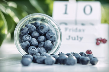 Blaubeeren Stillleben