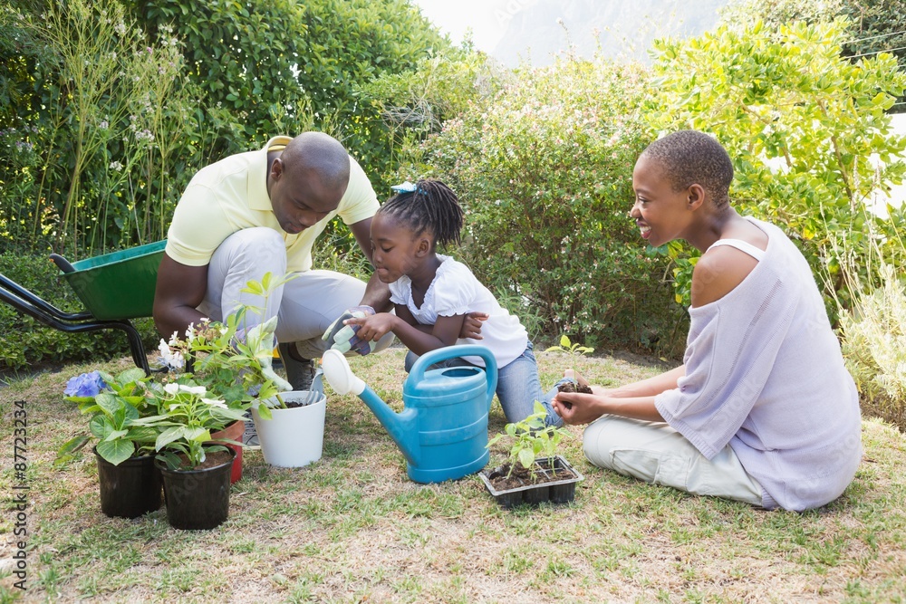 Wall mural happy smiling family plant a flowers together