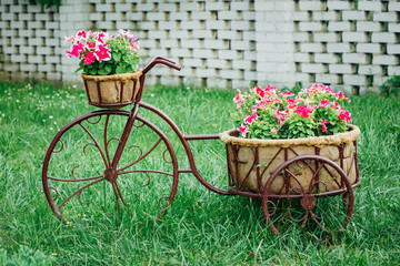 Fototapeta na wymiar Decorative Vintage Model Old Bicycle Equipped Basket Flowers Gar