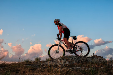 Obraz na płótnie Canvas Biker riding on bicycle in mountains