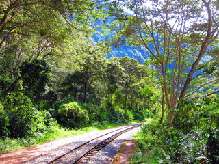 Chemin vers le Machu Picchu