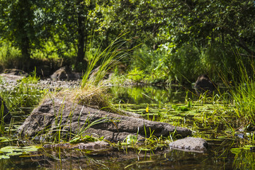 Summer landscape with river flow and blue sky