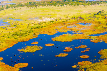 Fototapeta na wymiar Okavango Delta aerial view