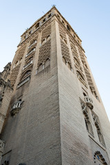 From the foot of Giralda