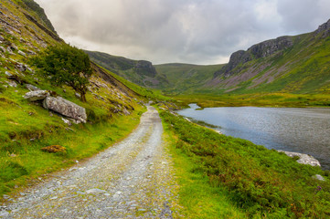 Countryside on Dingle Peninsula