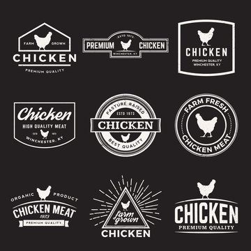 vector set of premium chicken meat labels, badges and design ele