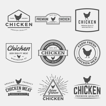 vector set of premium chicken meat labels, badges and design ele