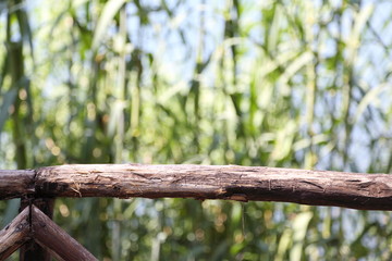 Fence on the shore of a lake with blurred background