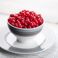 Red currant in the bowl