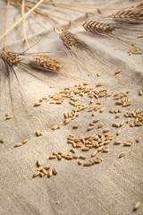 Chicchi di avena e spighe su base di tessuto