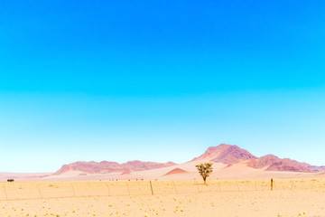 Fototapeta na wymiar Desert landscape near Sesriem in Namibia