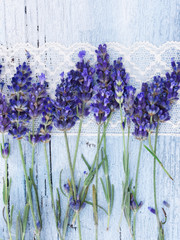Fototapeta premium fresh lavender on the lace background