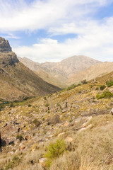 Fototapeta na wymiar Michell's pass in Western Cape, South Africa.