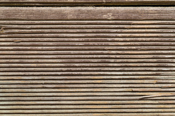 Texture of wood background closeup