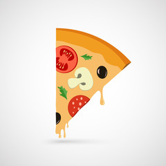 vector  piece of pizza icon on white