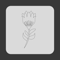 flower icon