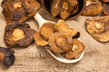 Dried mushrooms on canvas