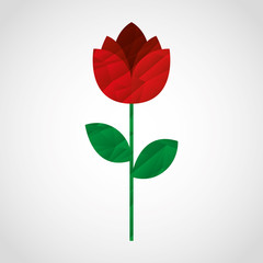 love icon