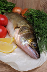 Raw fish pike perch