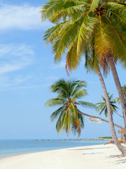 Obraz na płótnie Canvas Landmark of Baan Tai beach Koh Samui island,Thailand