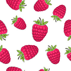 Seamless Pattern of Raspberries, Fruit Pattern, Berry Pattern, Vector Illustration