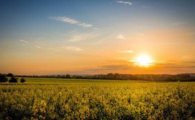 Country landscape