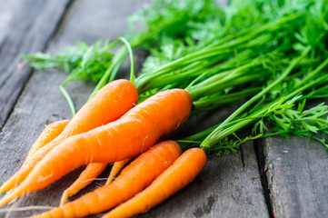 Bunch of fresh washed carrot on the old wooden background