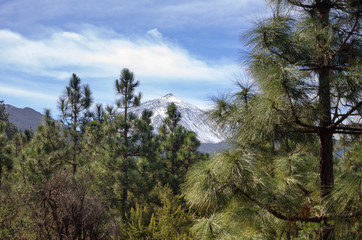 Tenerife