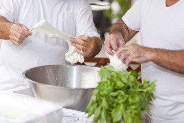 cheese,mozzarela