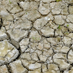dried earth 2