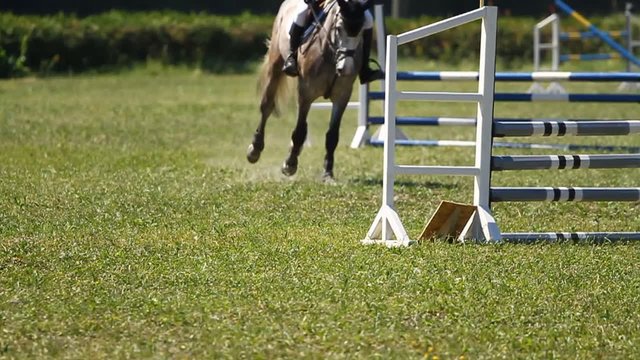Slow motion.Horse jumping a hurdle in competition 