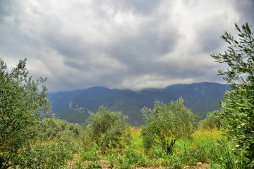 Parnassos mountain Greece