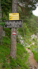 Wanderweg am Weißensee