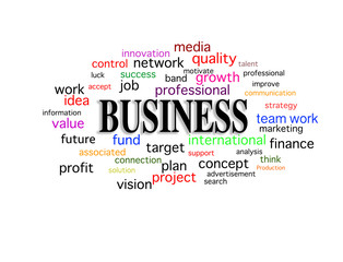 business idea word cloud in isolated background