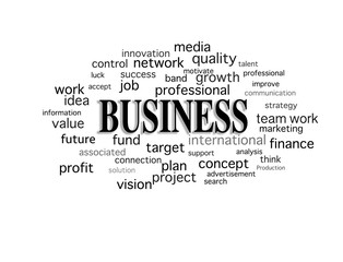 business idea word cloud in isolated background