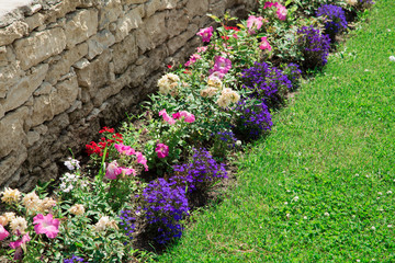 Multicolored flowerbed on a lawn