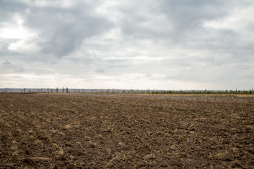 Plowed field landscape - Powered by Adobe