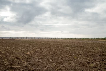 Fotobehang Plowed field landscape © indigolotos