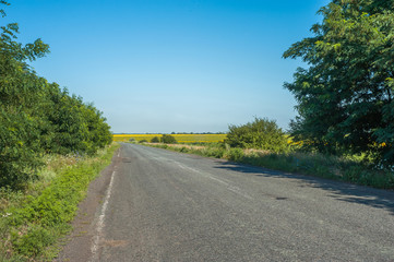 Empty rural asphalt road