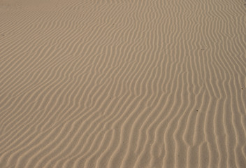 sand beach