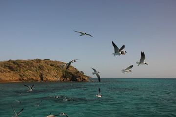 Les Grenadines - Les Cases