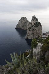 Capri faraglioni
